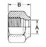 Streamline A 05052 Flare Nut, 3/8" Connection Size 1, 45Â° Flare Connection TypeÂ 1, Short Forged Flare Nut, 700 PSI, Forged Brass, UL Listed (SA9003), SAE J513, MS-35867 Thru MS-35873, MS-35919, MS-35926, MS-16993, 11/16" L x 13/16" W Dimensions